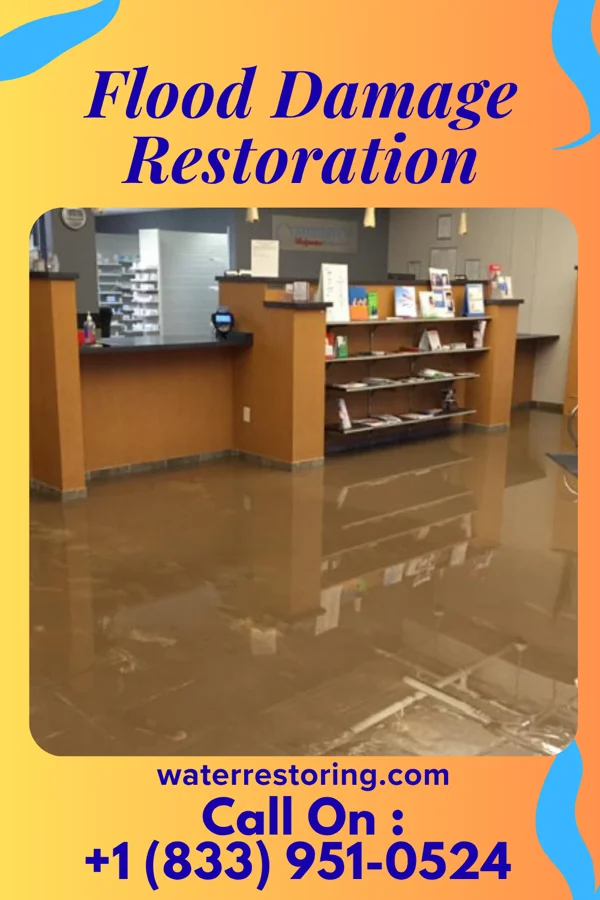 Flood Damage Restoration in Lake Shore, MD