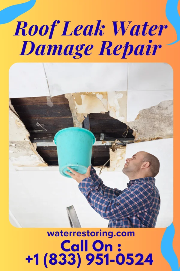 Roof Leak Water Damage Repair in Lake Shore, MD