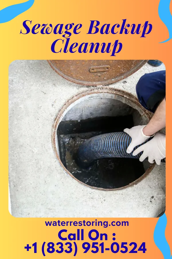 Sewage Backup Cleanup in Lake Shore, MD