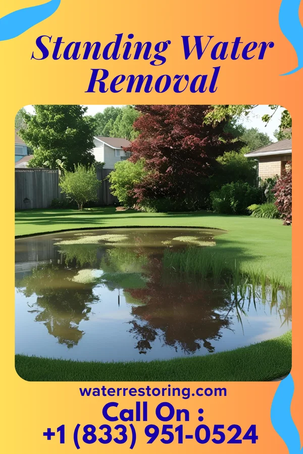 Standing Water Removal in Lake Shore, MD